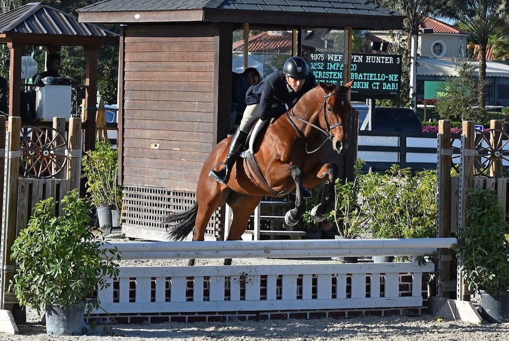 William Makes His Show Debut At WEF - The Chronicle of the Horse
